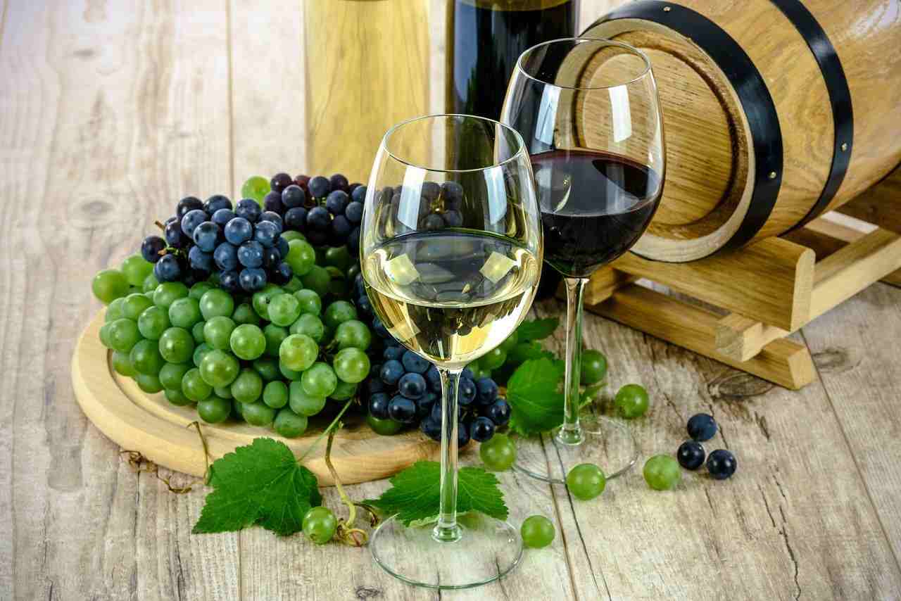 Consumo alcol, il piano europeo preoccupa i produttori di vino