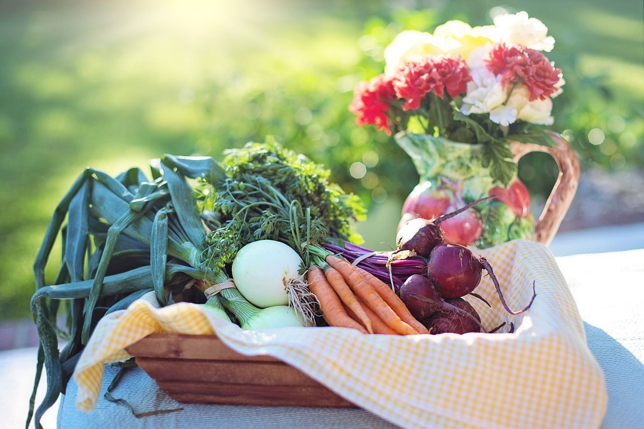 Diete vegetali, una soluzione al cambiamento climatico per 1 persona su 3