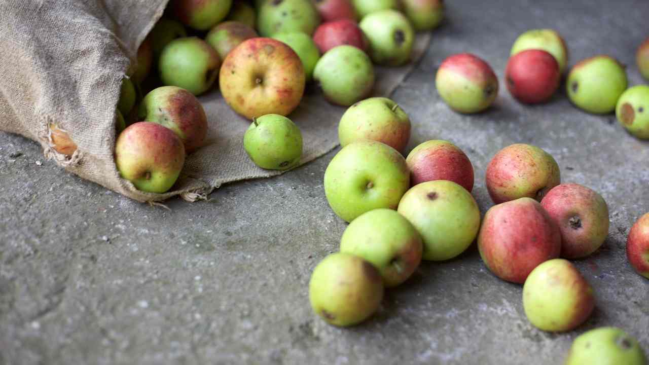 FAO, ecco come salvare il pianeta riducendo lo spreco alimentare