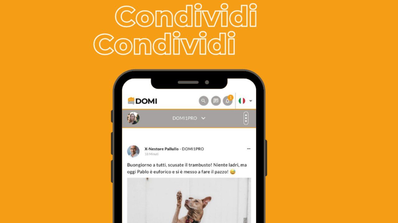 Il condominio diventa Social senza WhatsApp: arriva l'app Domi