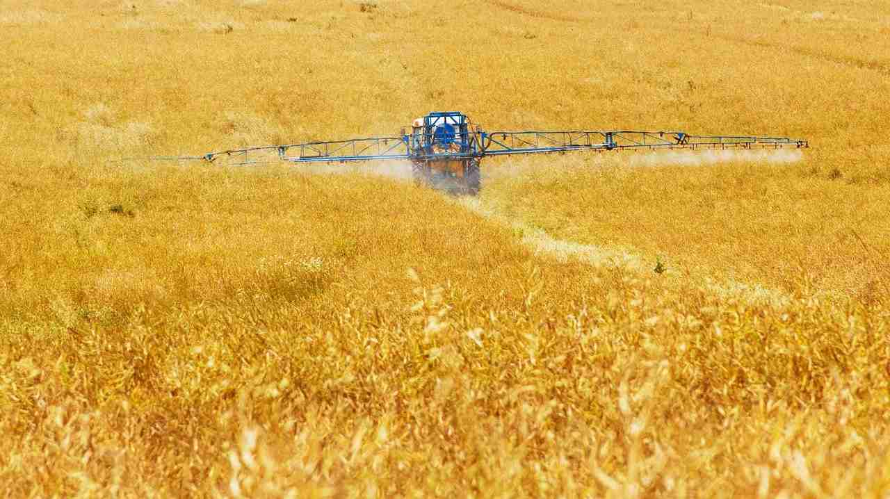 Rapporto Efsa, un alimento su quattro presenta residui di diversi pesticidi