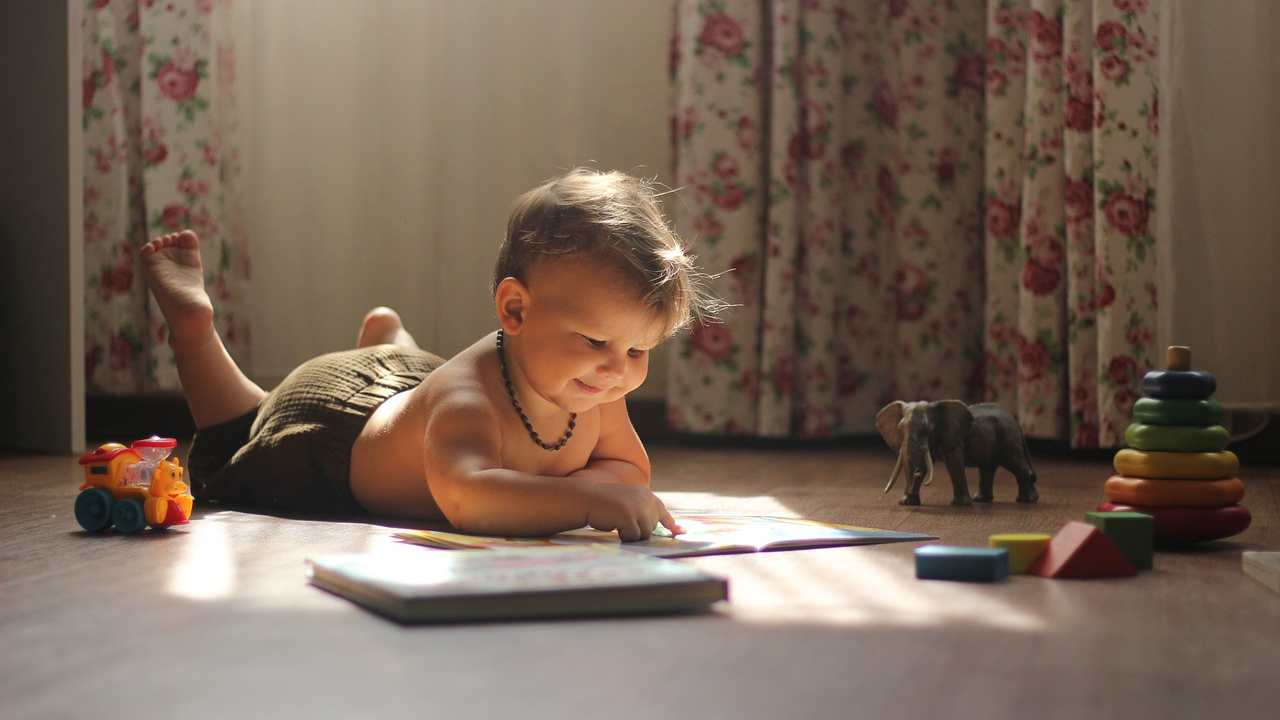 Una biblioteca in ogni scuola, il concorso di Associazione BIRBA