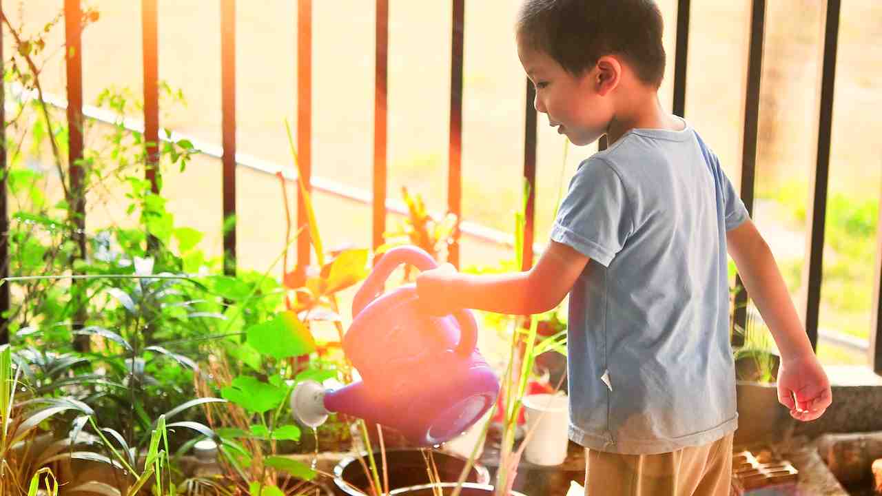 I bambini di Volpago coltivano la verdura che poi mangiano a scuola negli orti sinergici didattici