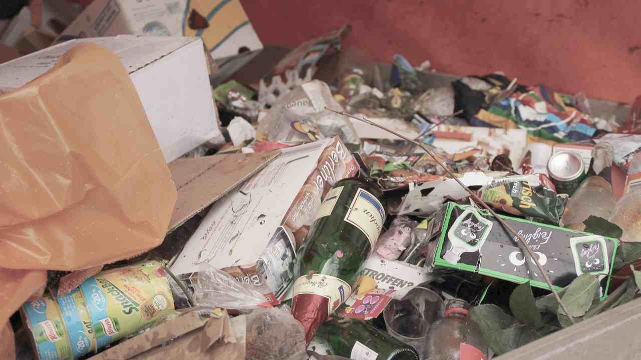 Roma invasa da topi e immondizia, Codacons denuncia Comune e AMA