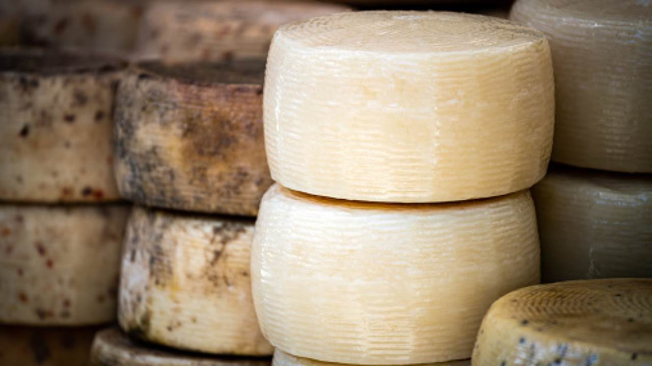 pecorino formaggio