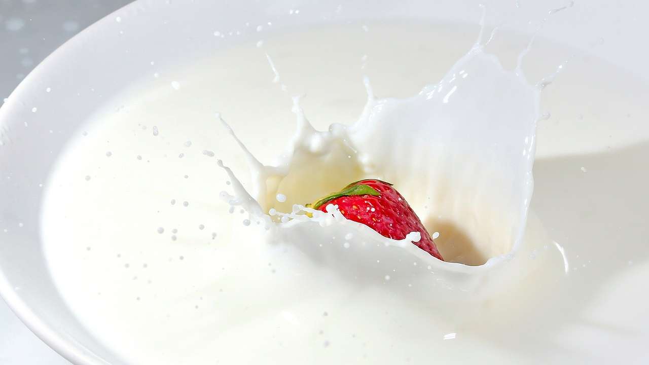 Etichette degli alimenti, quanto ne sappiamo di latte e latticini?