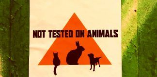 test animali cruelty free