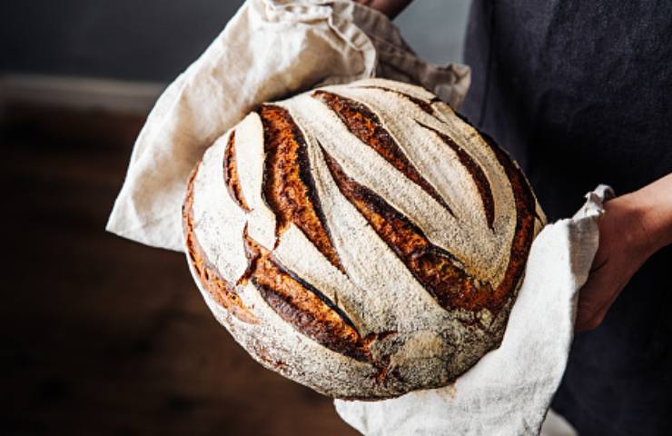 pane di segale