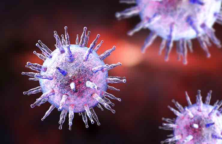 mononucleosi virus epstein barr