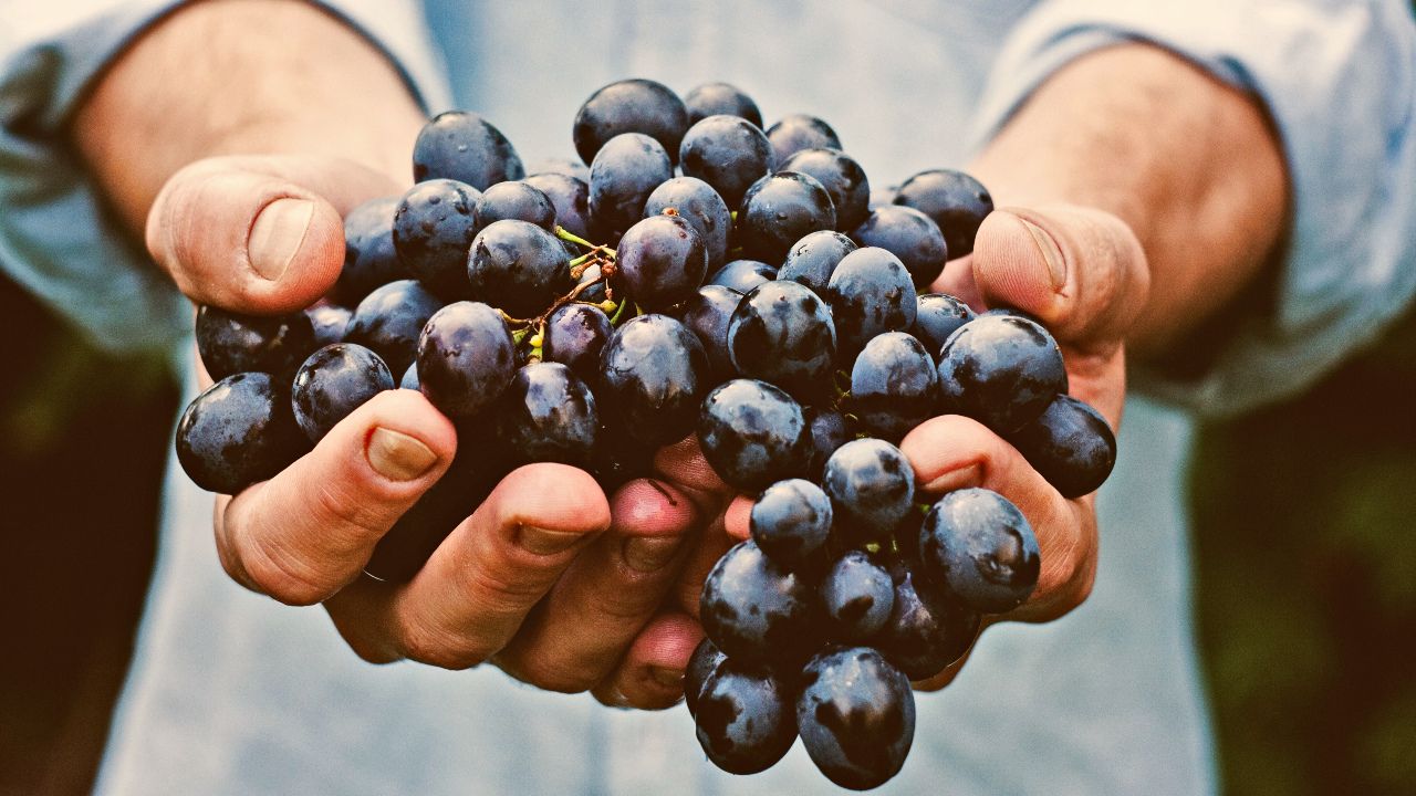 QR code supermercati