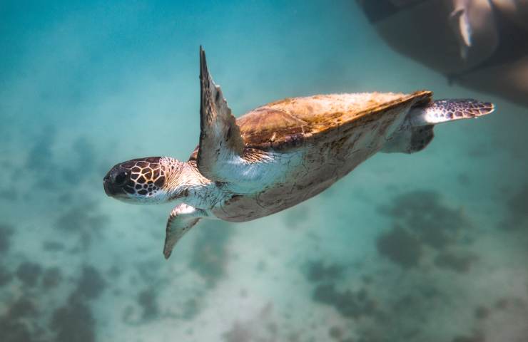 biodiversita legambiente