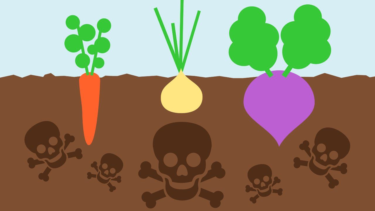 pesticidi bio