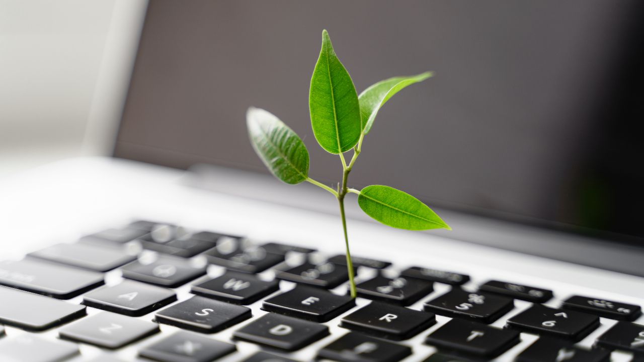 sostenibilità digitale