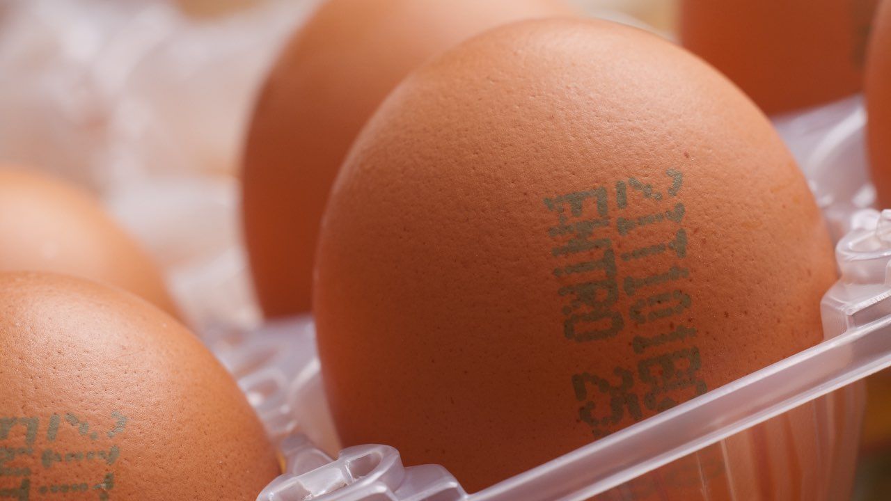 Questi alimenti non hanno scadenza: lo sapevi?