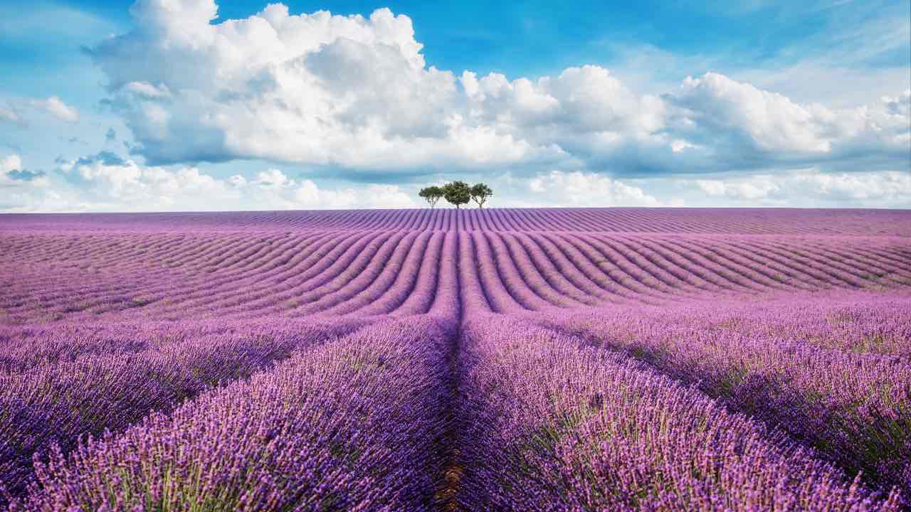 Offerta Smartbox: vacanza in Europa per 2 a meno di 100 euro