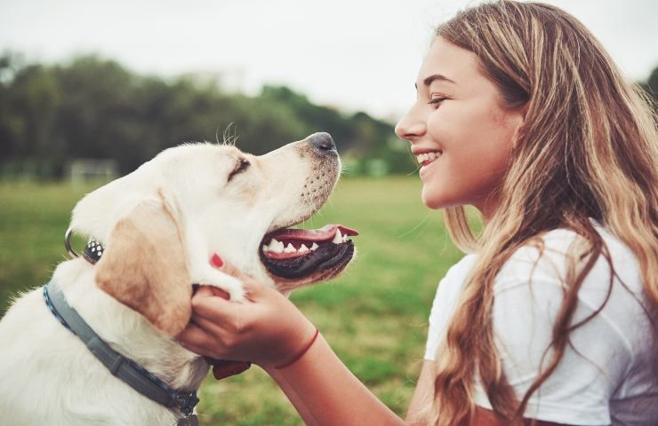 cane affidamento in caso di separazione