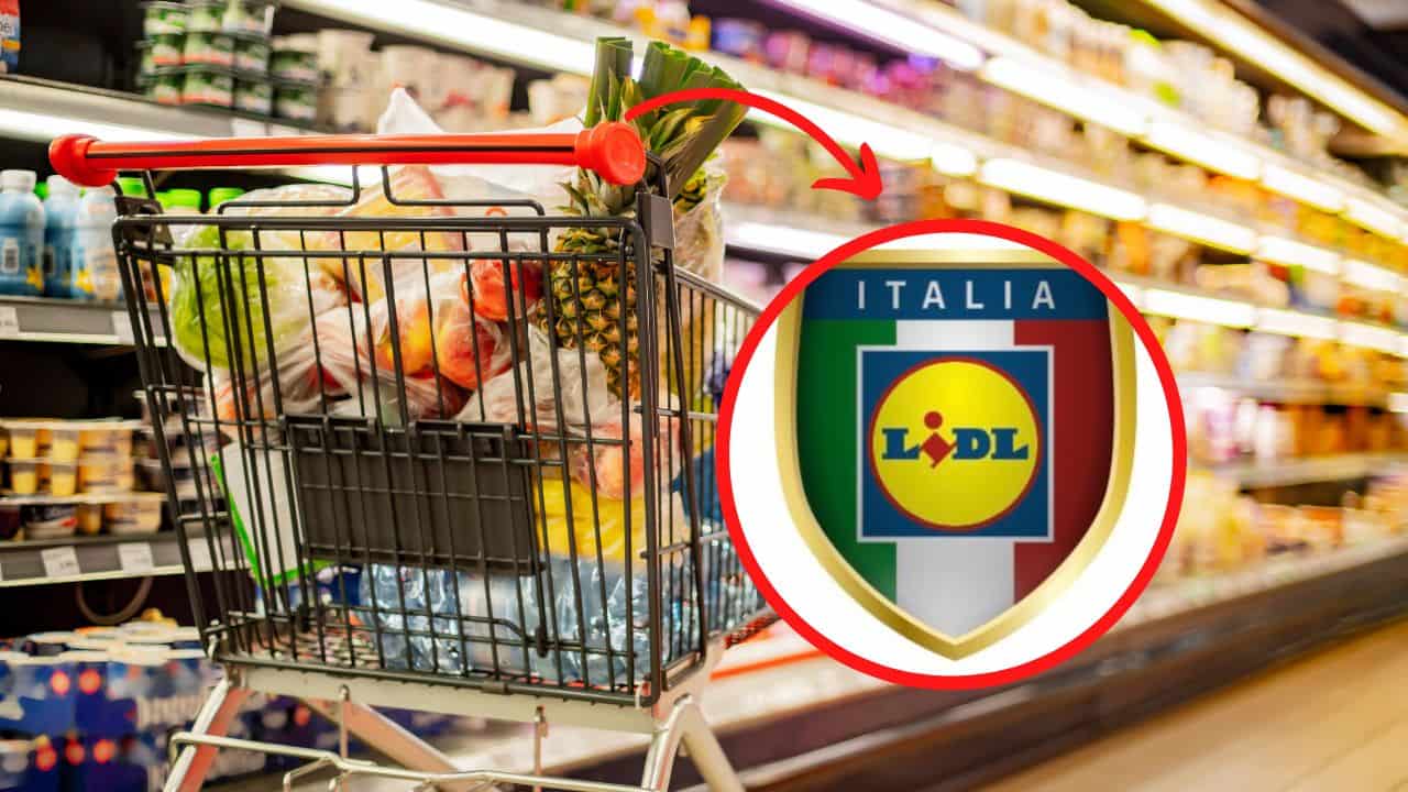 Lidl