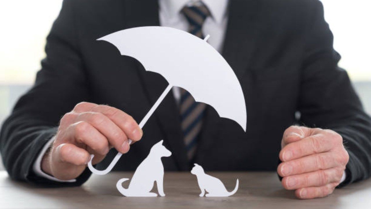 assurazione cane Poste italiane