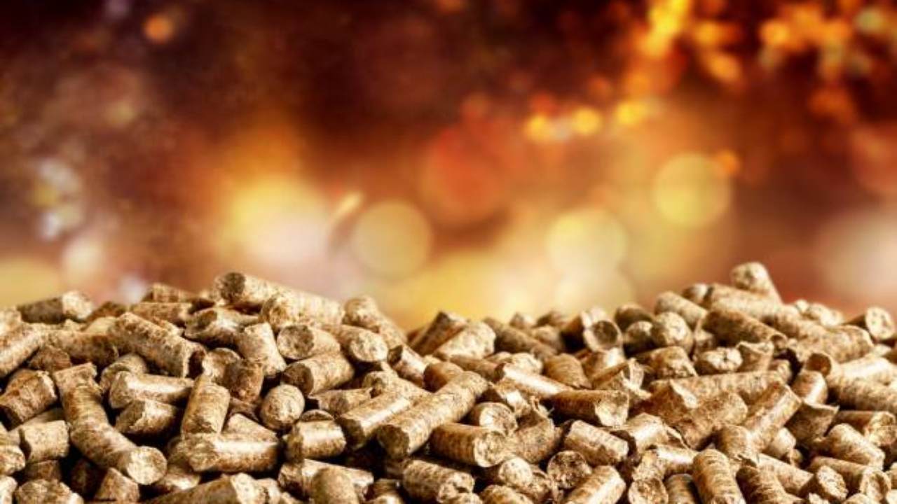 costo pellet in aumento