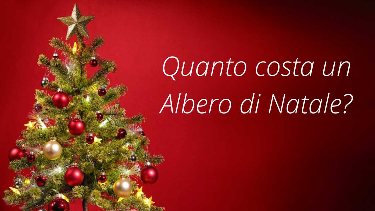 albero di natale low cost