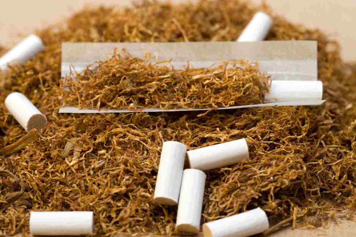 tabacco filtri cartine