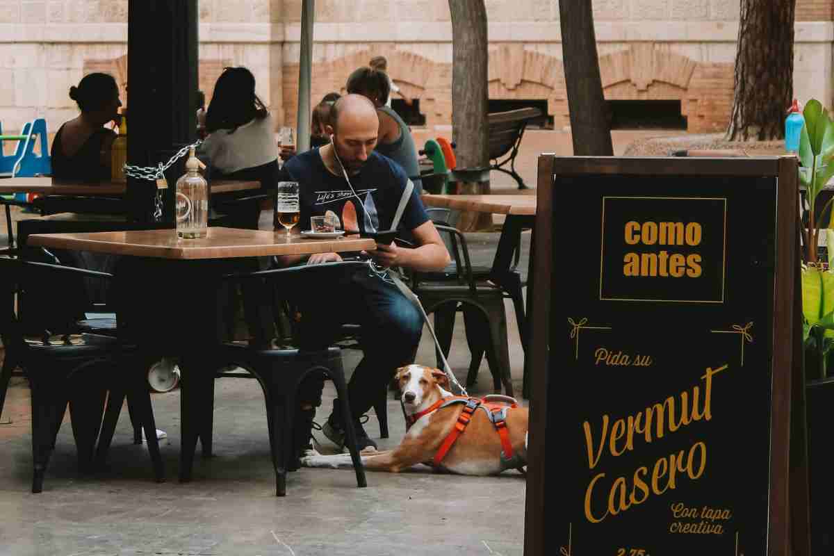 padrone e cane tavoli bar