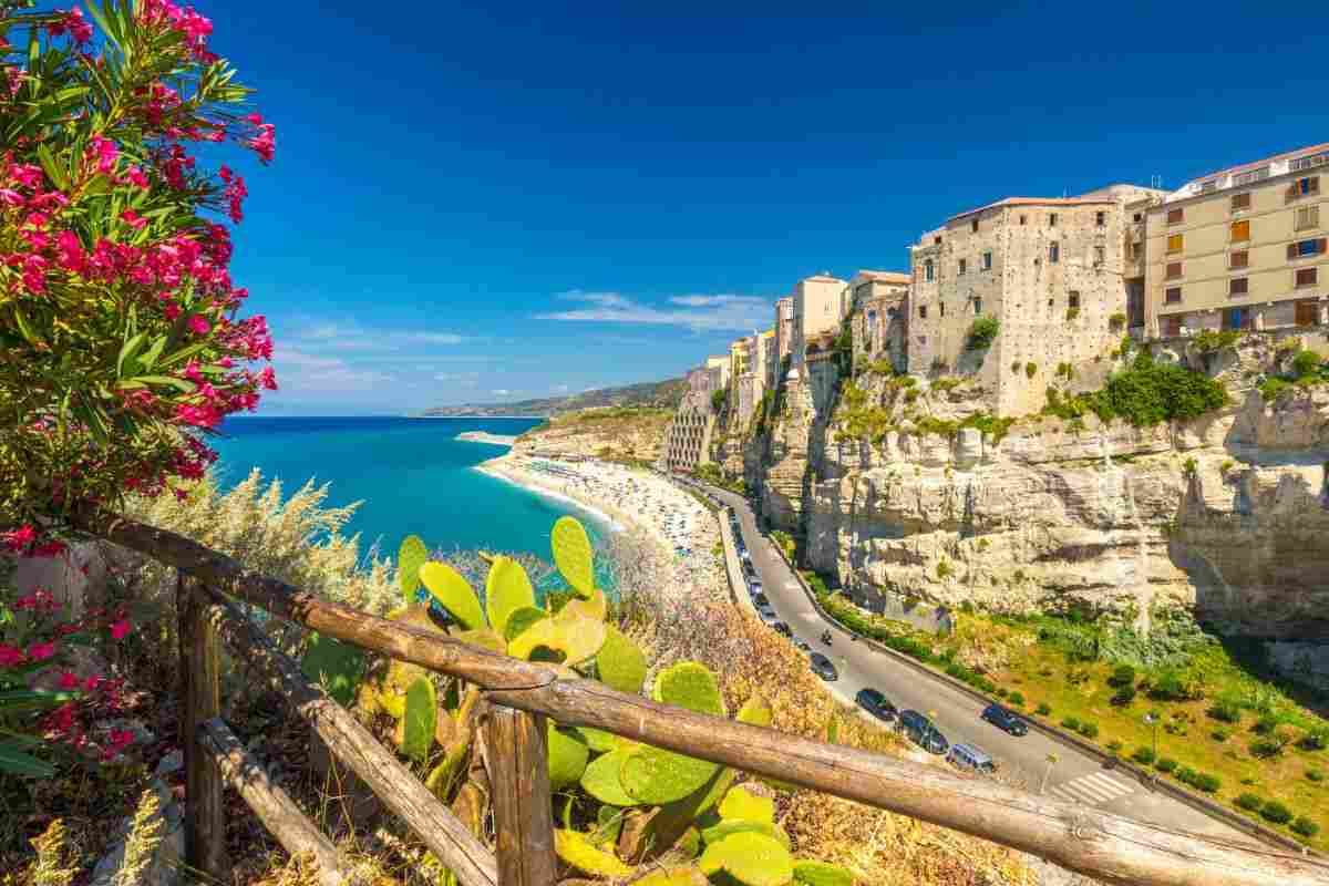 panorama scogliera e fiori