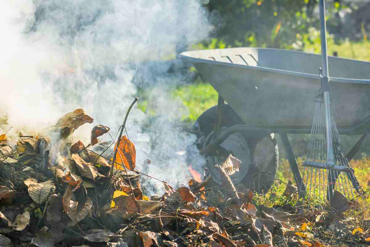 sterpaglie che bruciano